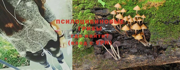 apvp Верея